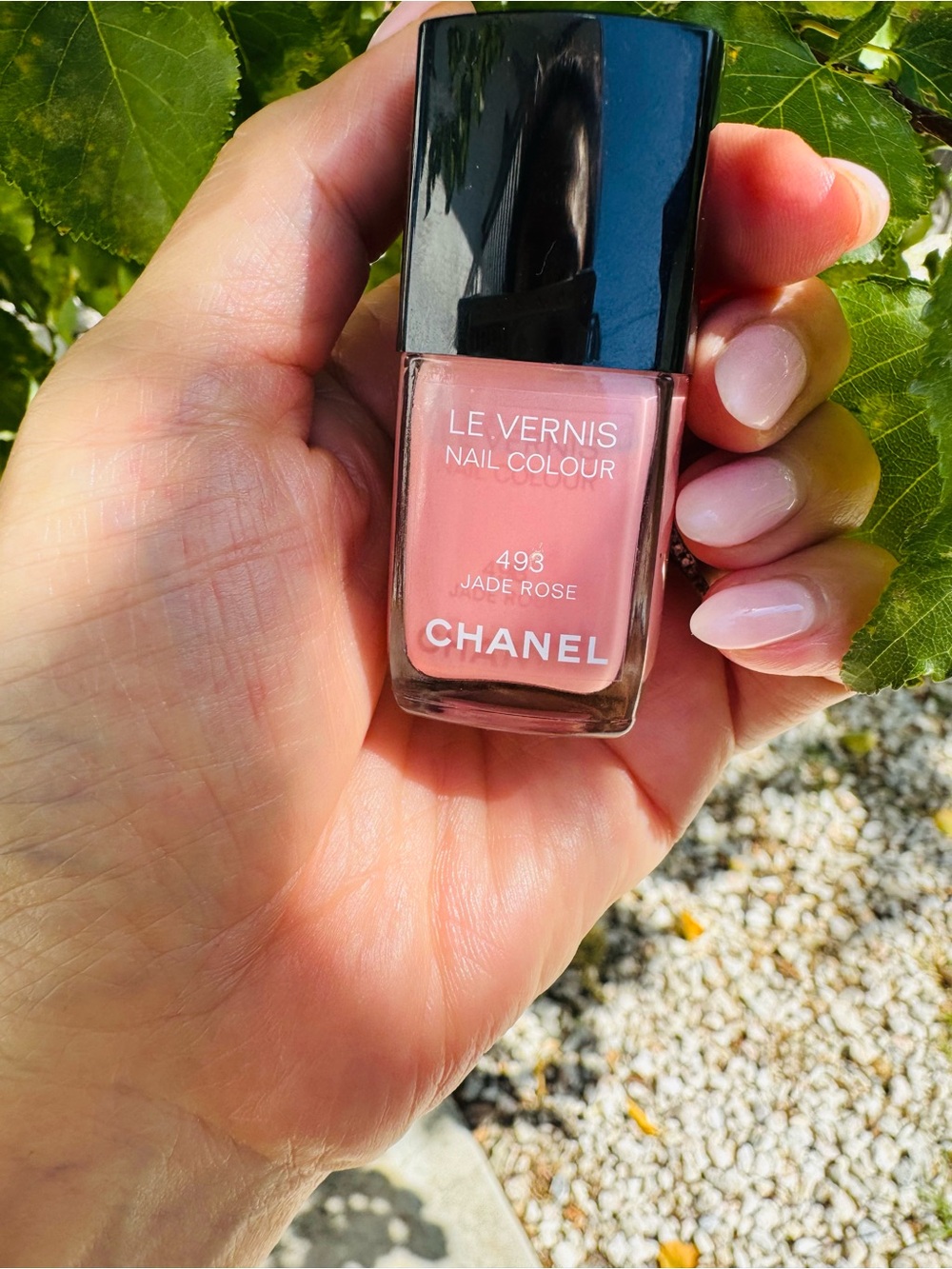 Chanel Nail Polish